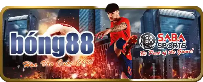 Ưu đãi đặc biệt cho thành viên VIP nn88
